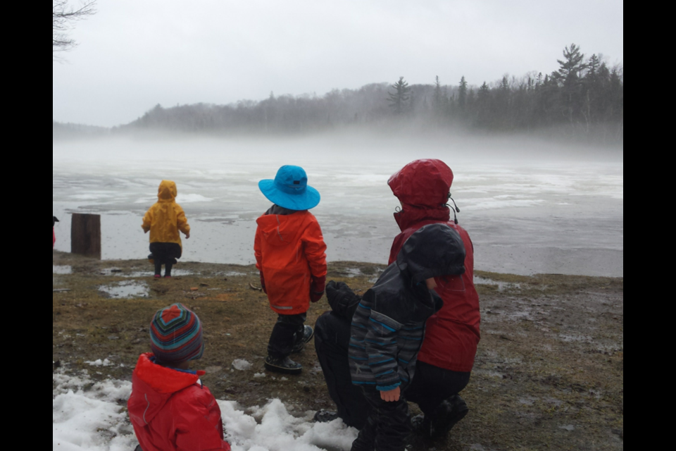 Photo courtesy Wild Roots Nature-Based Early Childhood Family Collaborative