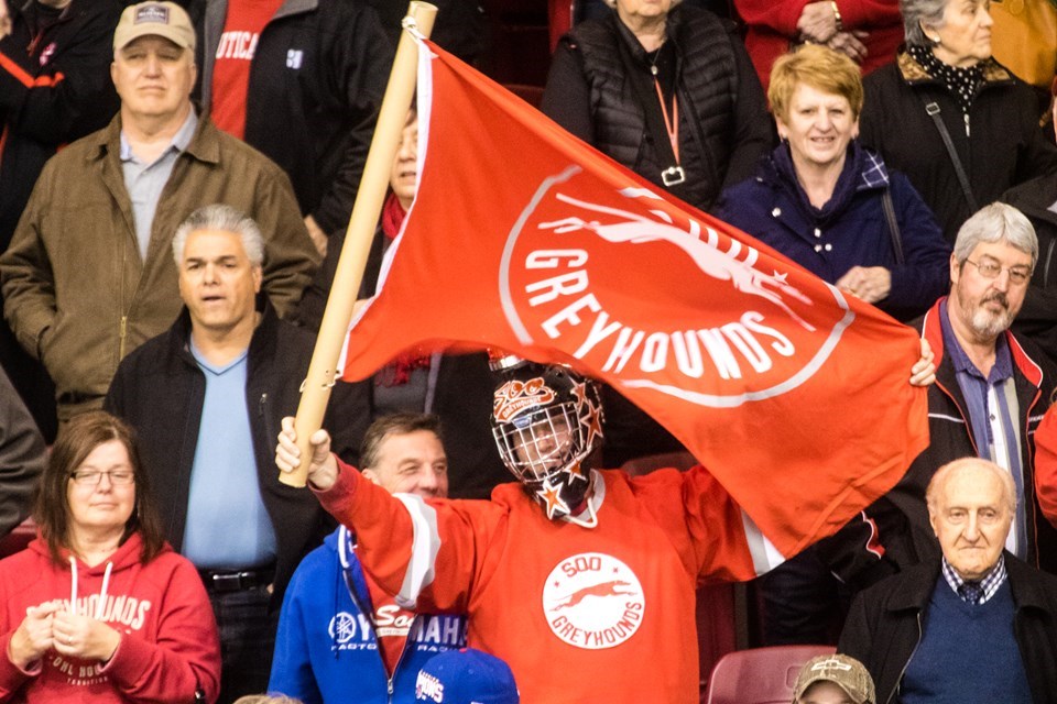 Greyhounds fans will recognize Chris Sierzputowski as a devoted follower of the team. Donna Hopper/SooToday