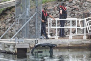 Police confirm sudden death investigation at Bellevue Marina