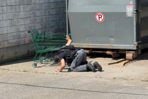 Police conducting grid search in Pine Street murder investigation