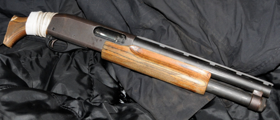 SM20029914-Shotgun-1280x549 (1)