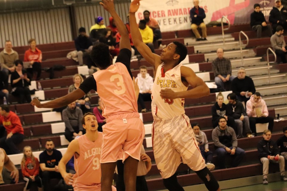 Action from Saturday's OUA basketball game between Algoma University and the University of Guelph. Brad Coccimiglio/Village Media