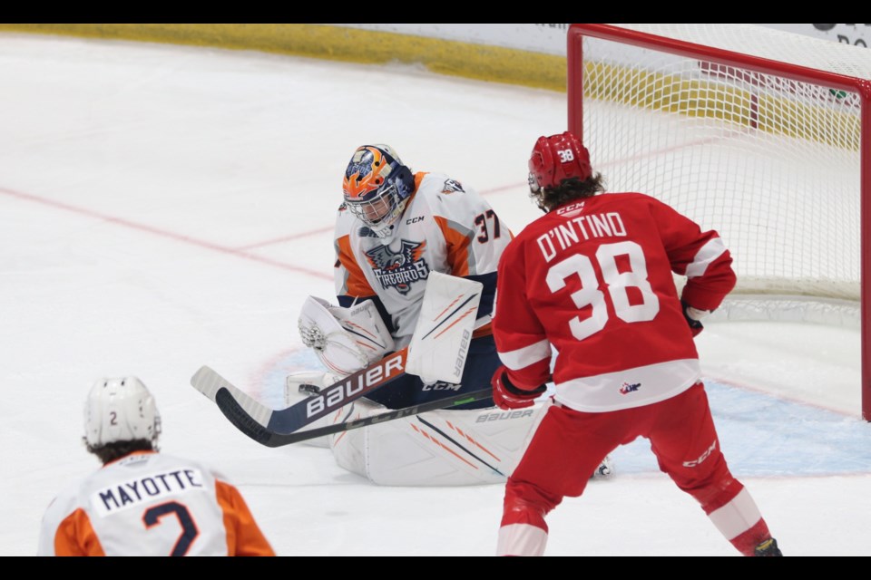 Flint Firebirds goaltender Luke Cavallin makes a save as Soo Greyhounds forward Jordan D'Intino looks on in a game at the GFL Memorial Gardens on Feb. 16, 2022.