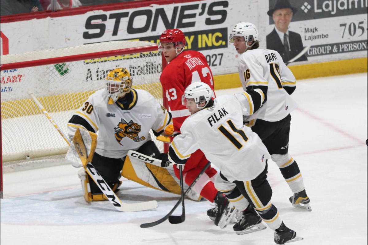 Greyhounds look ahead to playoff opener after regular season finale