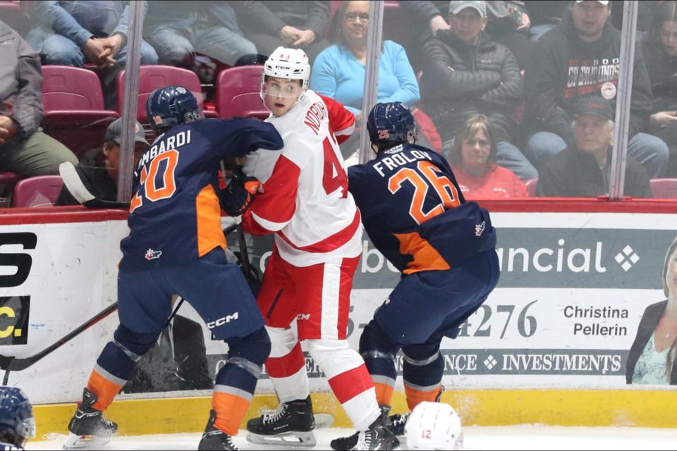 OHL action between the Soo Greyhounds and Flint Firebirds at the GFL Memorial Gardens on Nov. 15, 2024.