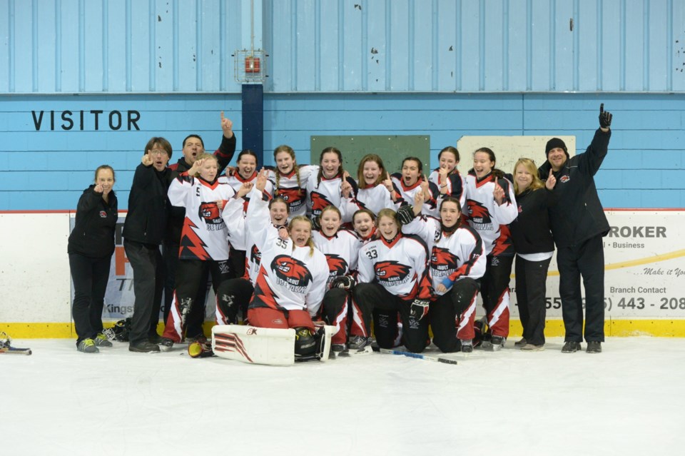 Sault Ice Hawks U16