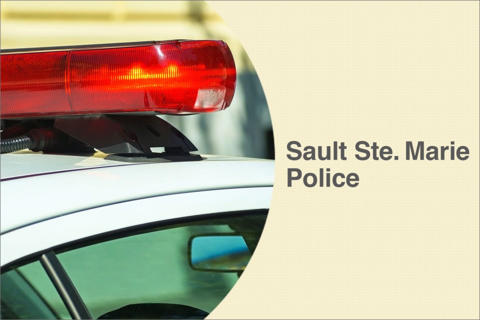 crime_police_sault_car1