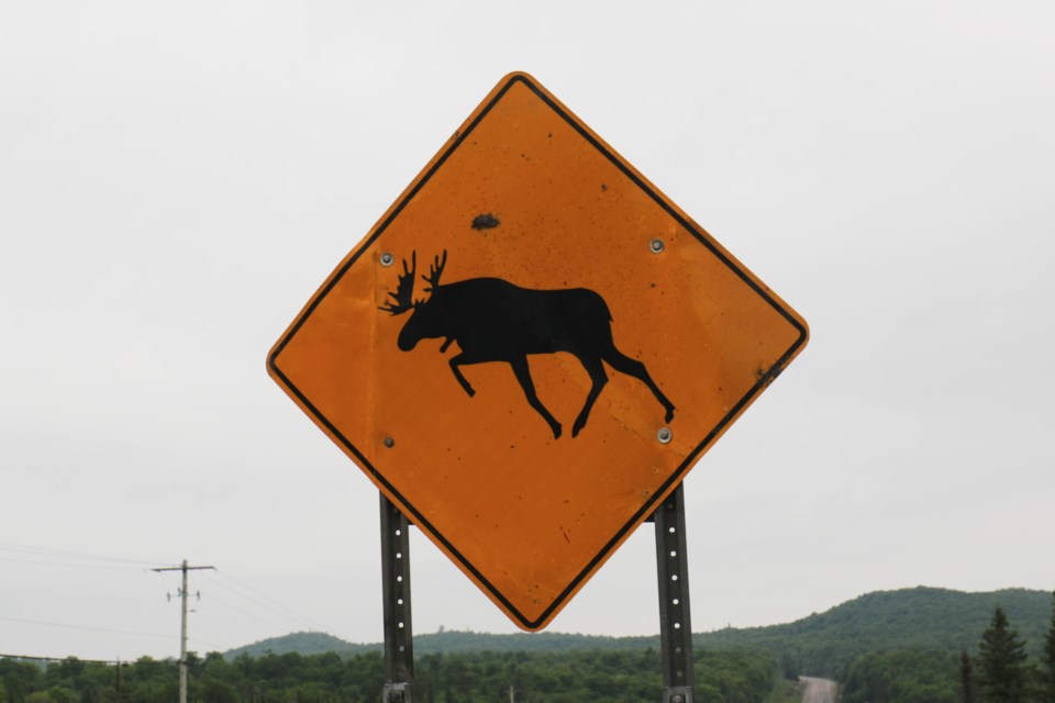 A sign warns motorists of the potential for moose crossings on Highway 17 North. 