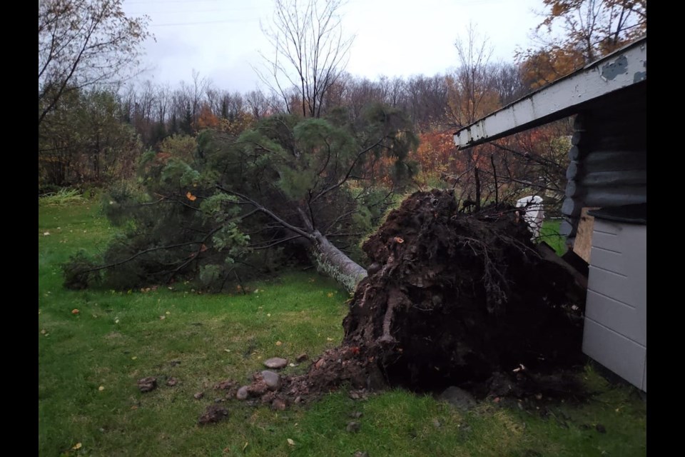 Storm damage in Old Mill Bay. Photo courtesy of Dustin Graham