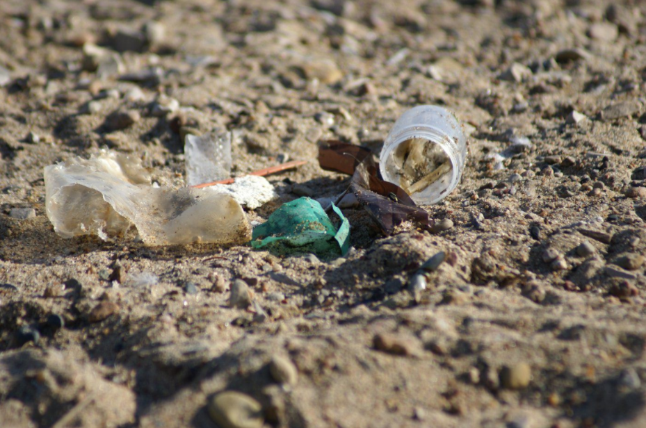 Lake Huron garbage