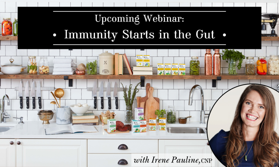 Immunity Starts in the Gut webinar banner