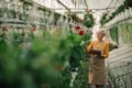 Why shopping local matters: A gardener's guide