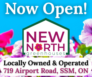 new-north-greenhouses-big-box