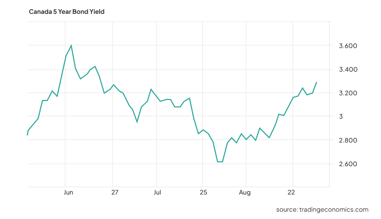 5Y bond