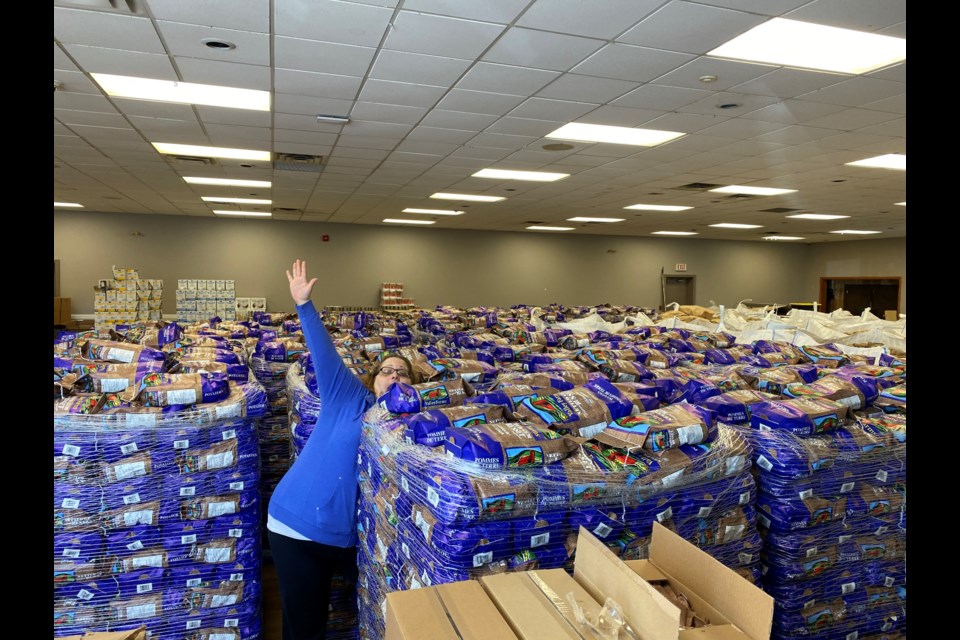 Volunteer in a sea of potatoes. Photo supplied.