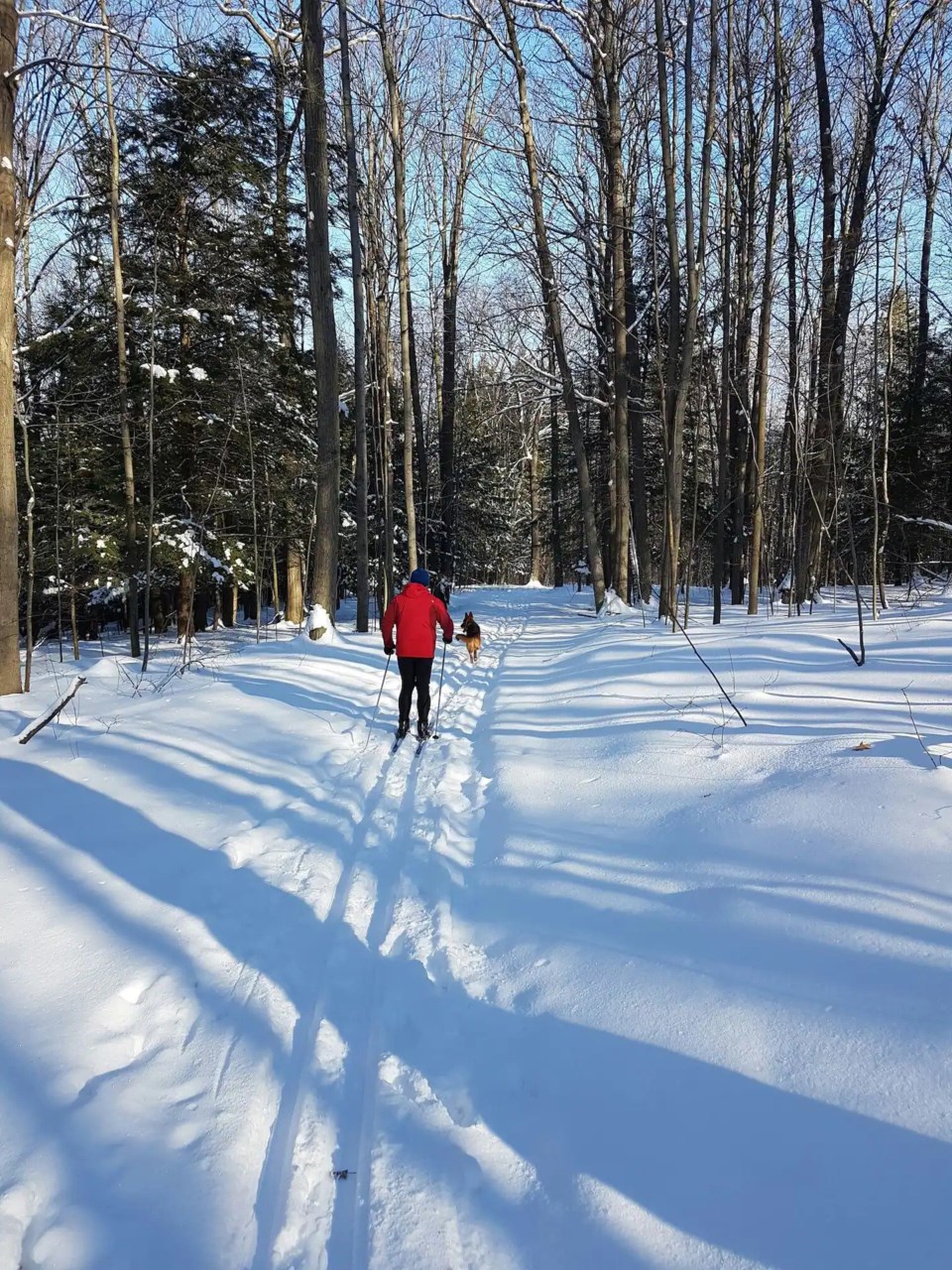 treehouse-xc-ski