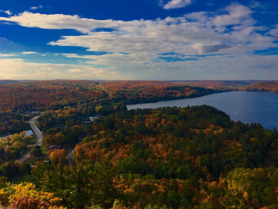 Dorset scenic lookout tower