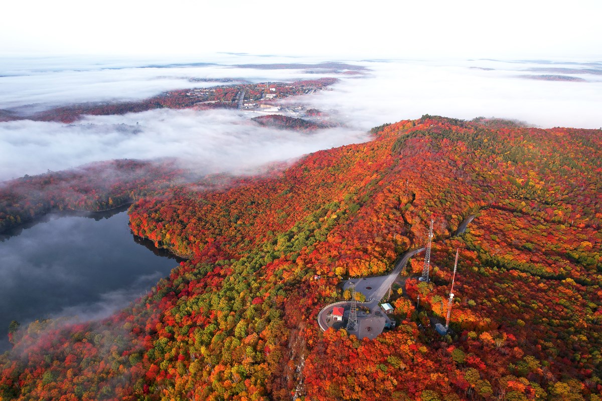 4 fire towers you can climb right now to see the best fall colours in Ontario