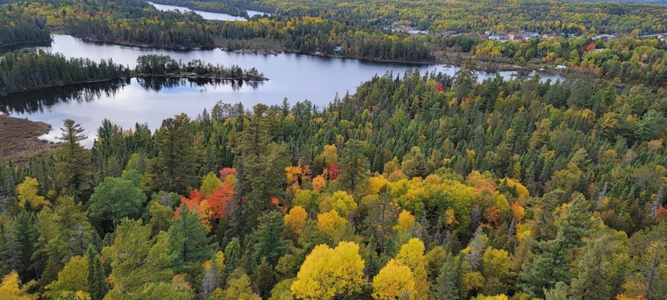 temagami fire tower view facebook_Tiffany Dunn