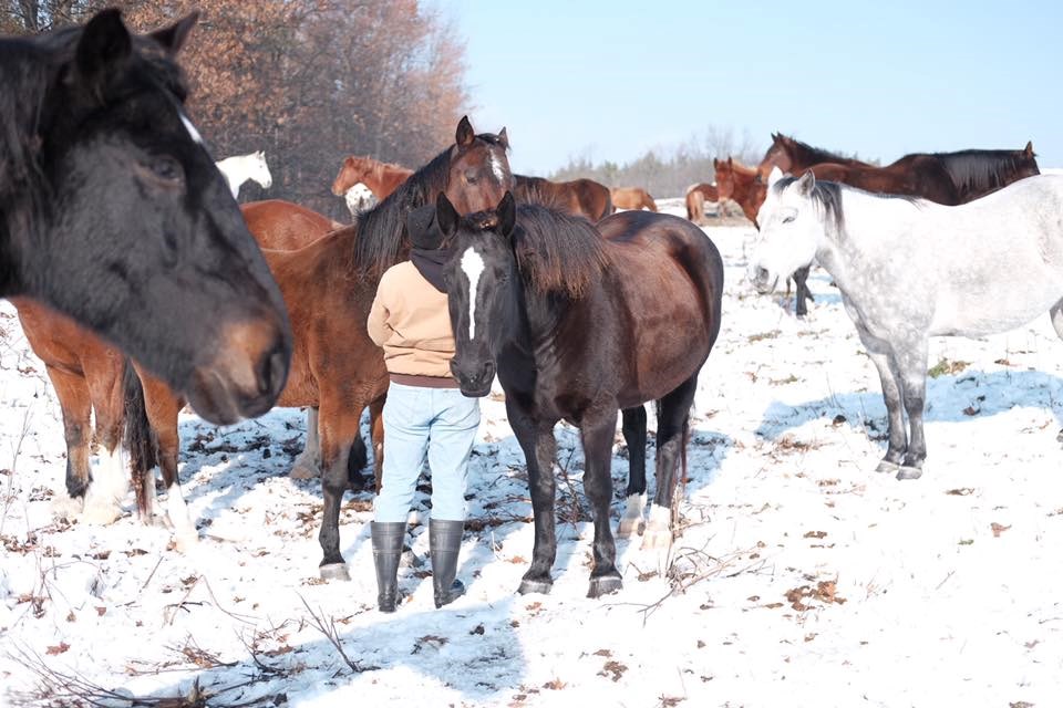 rawhide-adventures_ranch-life-programs