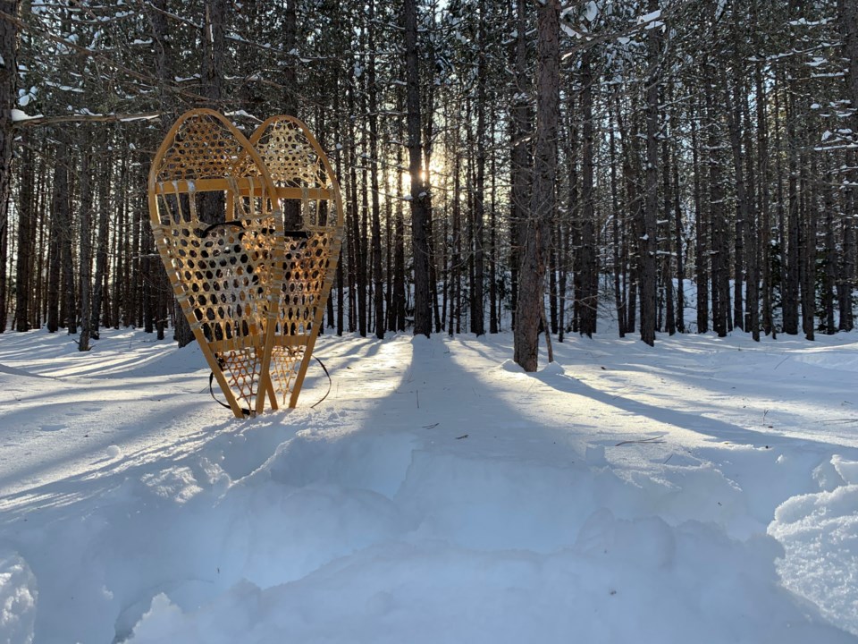 algonquin_snowshoes