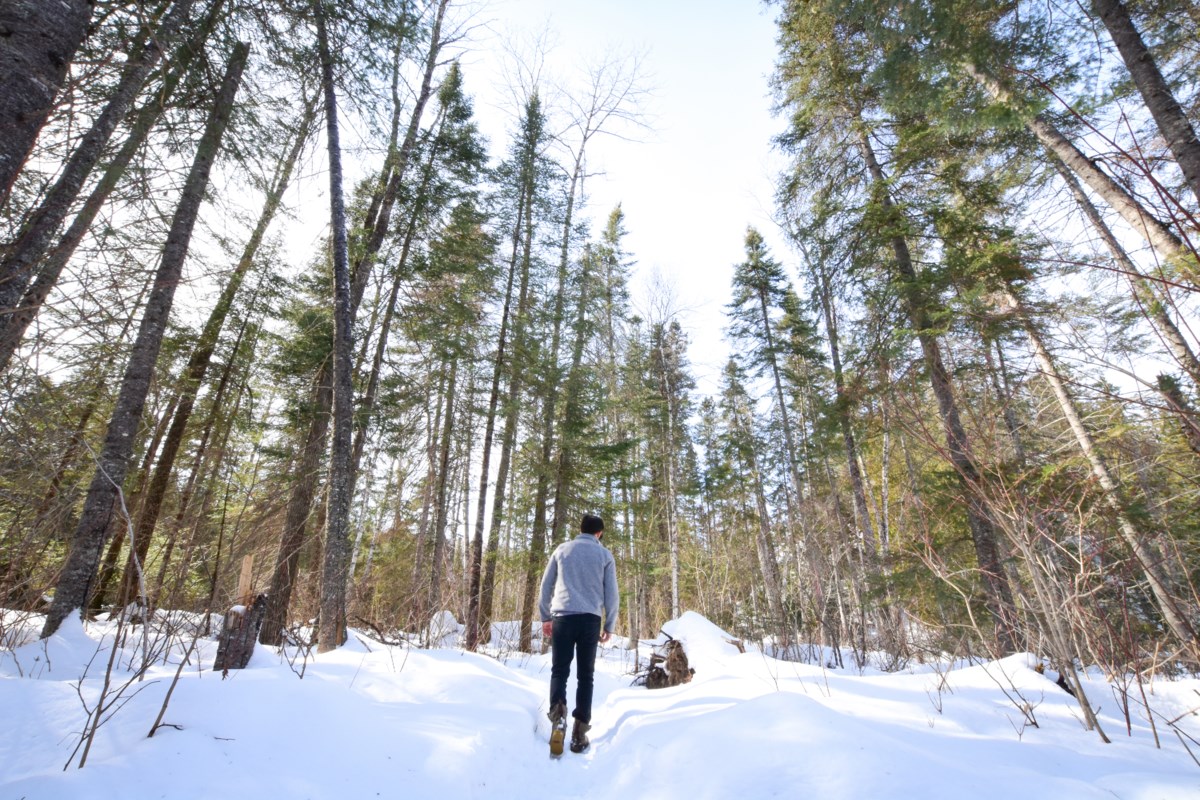 Winter adventure awaits: Ontario's Provincial Parks open for the season