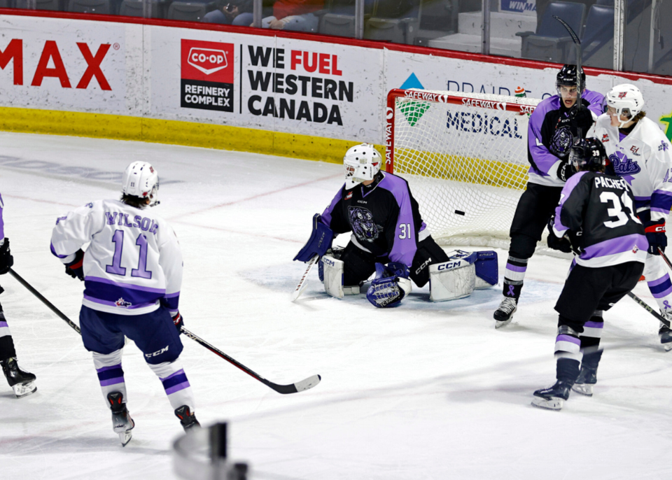 regina-pats-vs-medicine-hat-tigers-nov-1