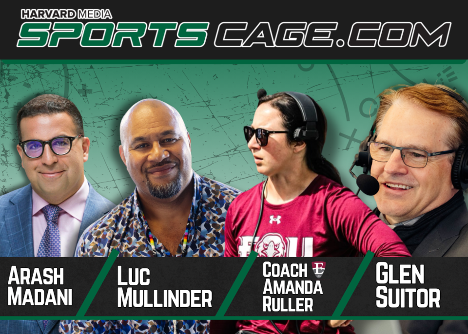 arash-luc-amanda-ruller-glen-suitor