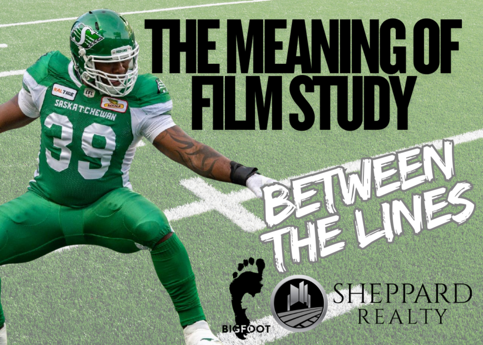 btl-the-meaning-of-film-study