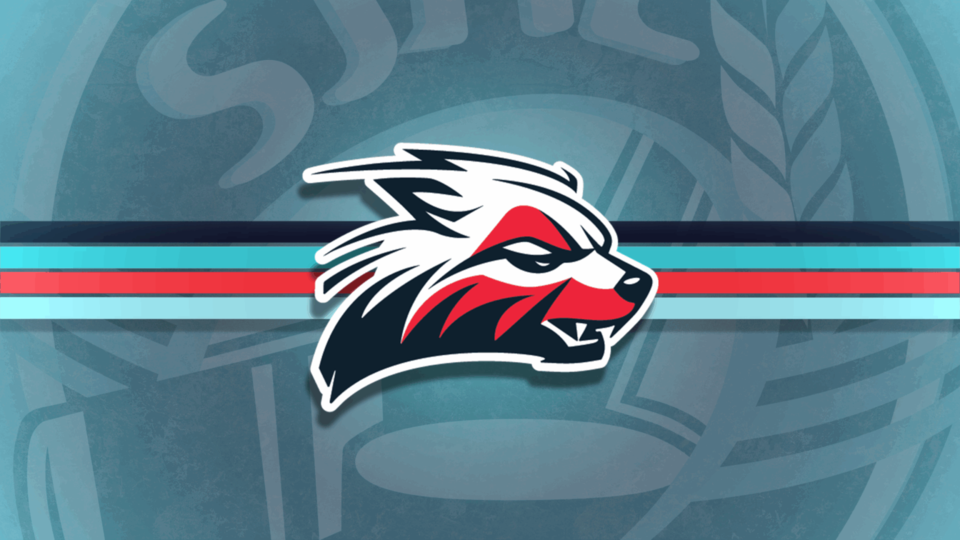 warman-logo-reveal-intro_00120-1536x864