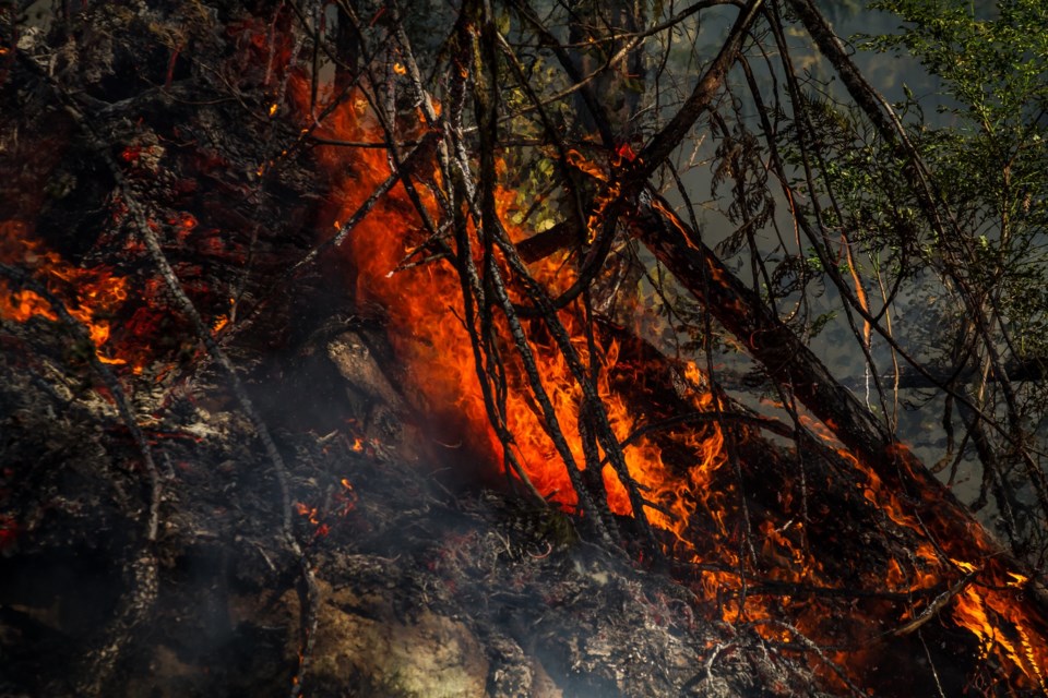 Photos of flames were taken using a telephoto zoom, says Jillian A. Brown.