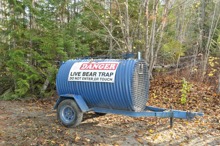Alberthep bear trap245
