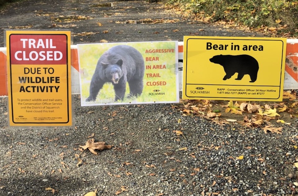 bear2squamishbarricade