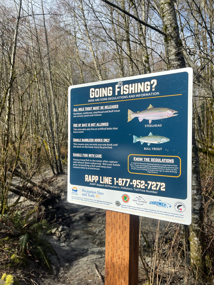 What do I need to know before fishing the Squamish Valley? - Squamish Chief