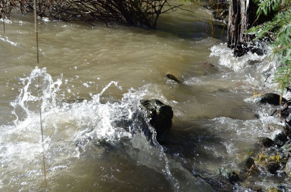 Flooding Steven Squamish