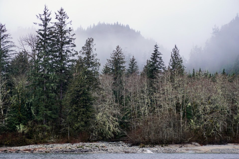 fries-creek-across-from-fishermans-park-in-squamish