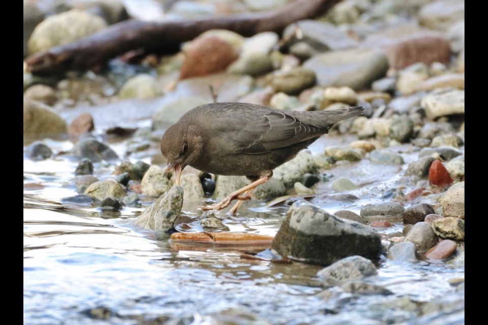 "Boy, this water is cold!" 