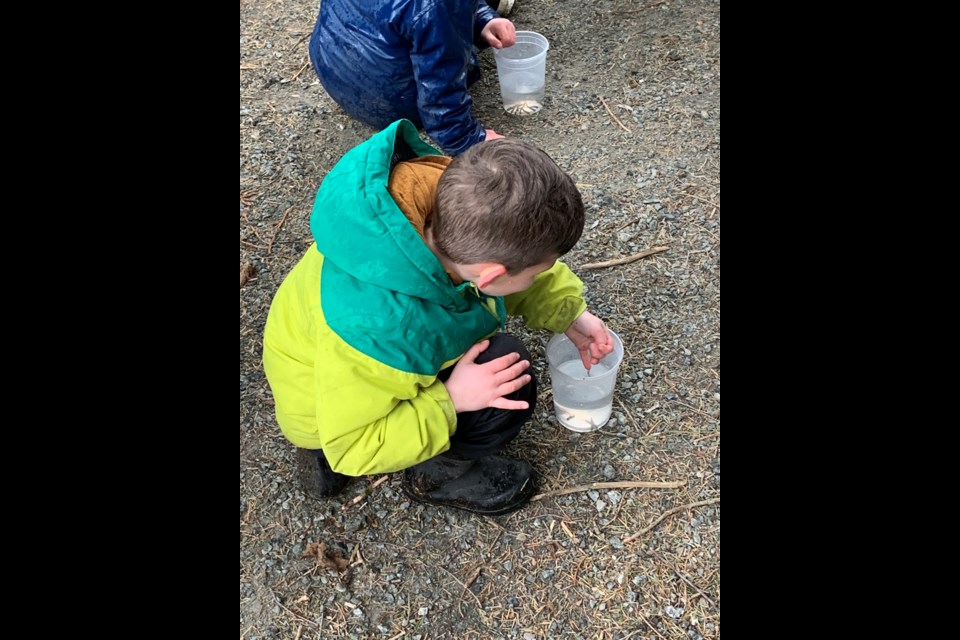 Freeing the fishies with school students from Brackendale Elementary on Friday, March 11. 