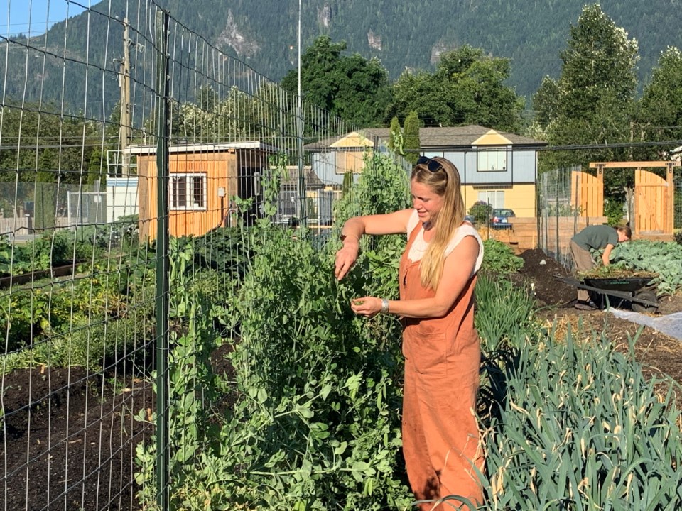 IMG_8166 copySquamish School Farm