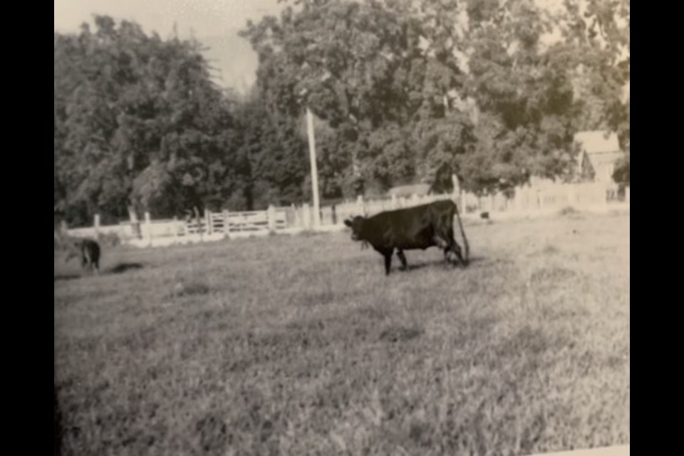 Squamish was a more rural place when Kiyowil Bob Baker was a boy. 