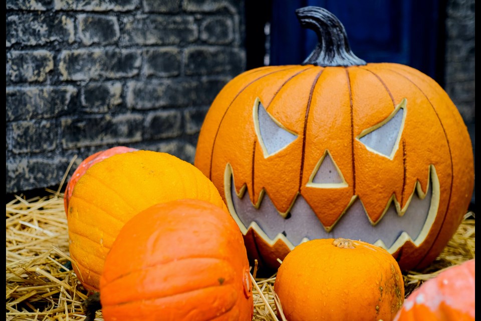 The Pumpkin Patch in the Park returns on Oct. 22 in downtown Squamish.
Photo by Karl Newton/Getty Images