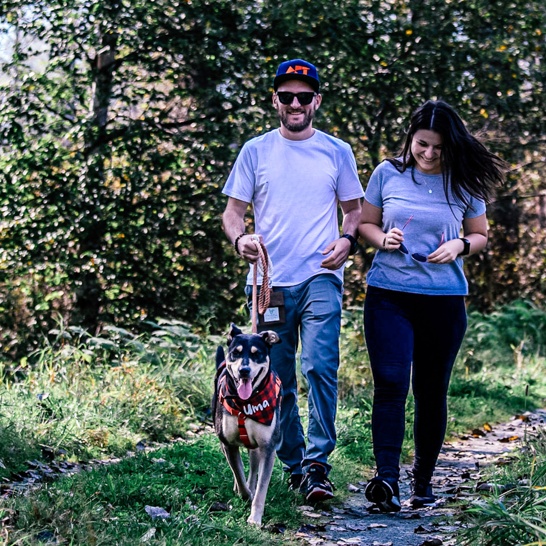 Local businesses in Sea to Sky offer gifts for furry friends
