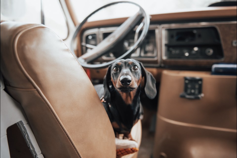 Marty in the van. 