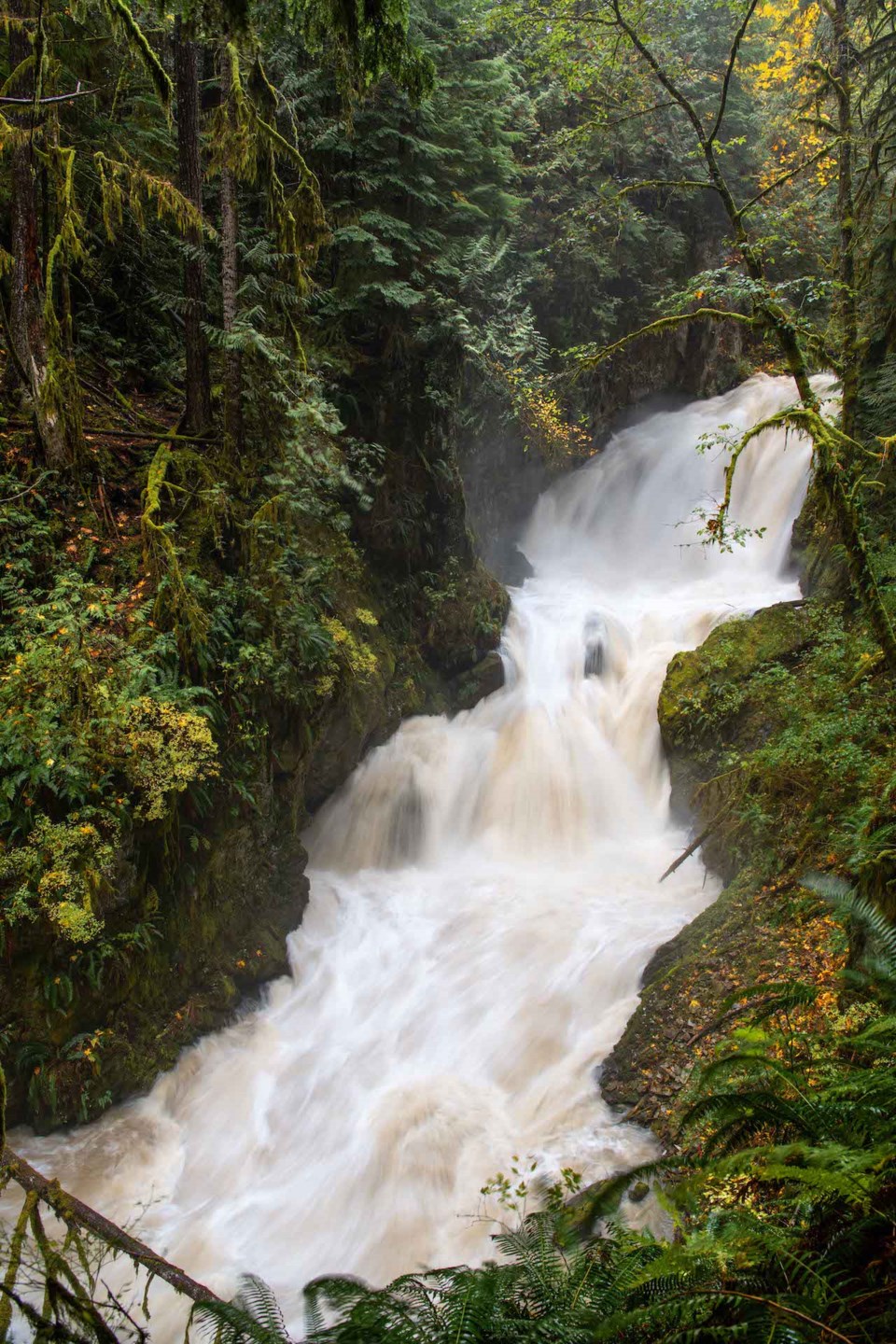 Mashiter falls in flood-5792