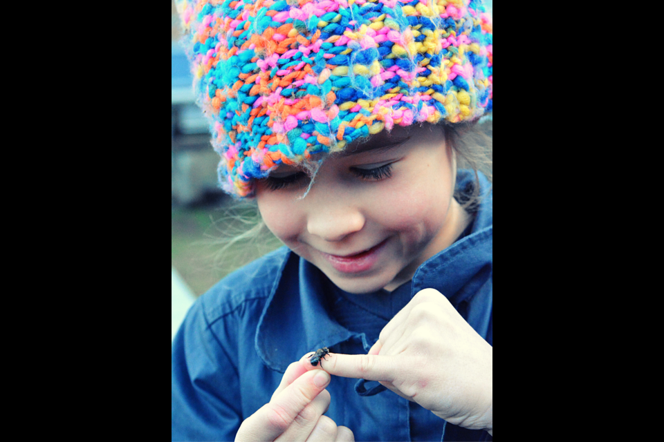 Rhonda O'Grady uses mason bees with her students.