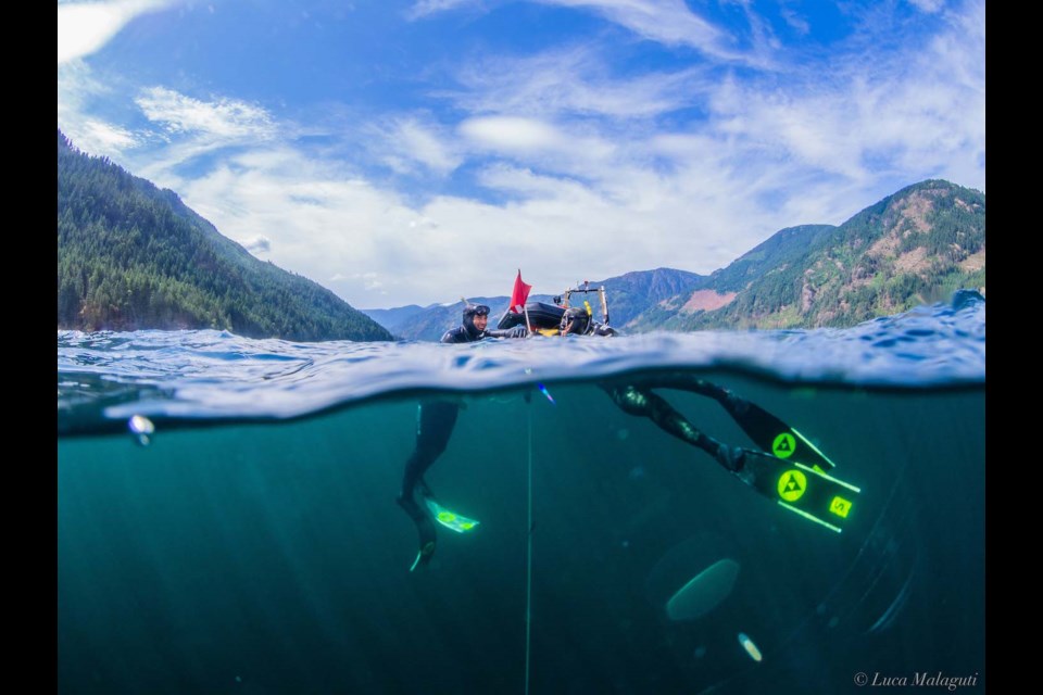 Luca Malaguti is a Canadian freediving record holder, diving to -84 metres (-275 feet).