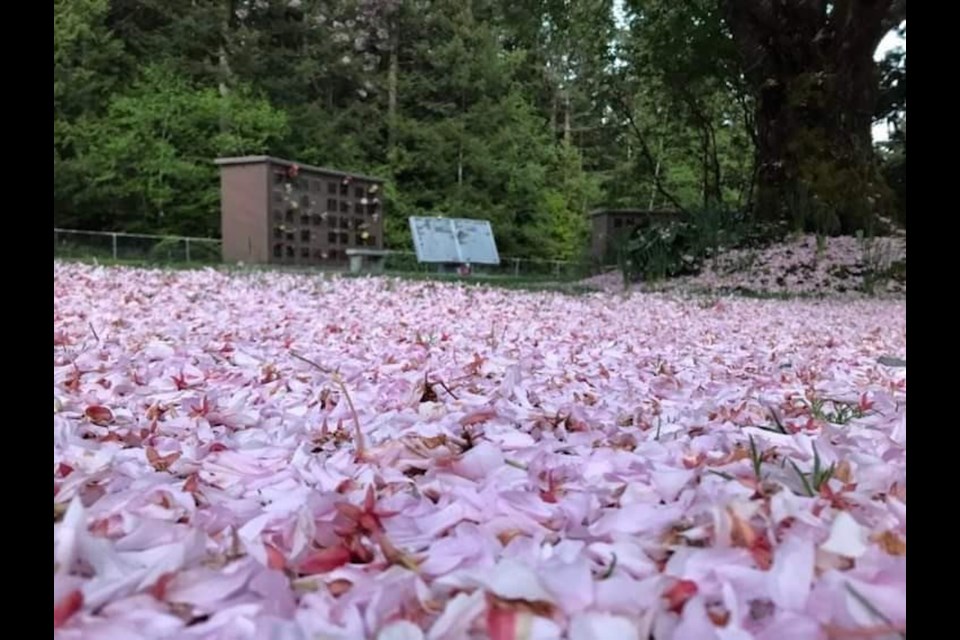 Mount Garibaldi Cemetery.