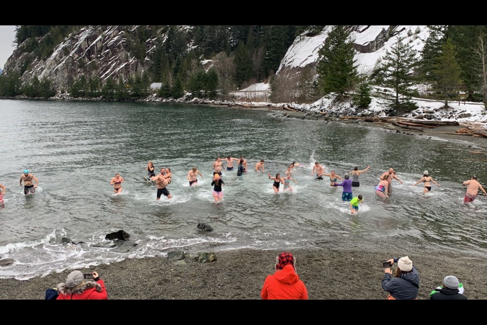 polarbearswim2022