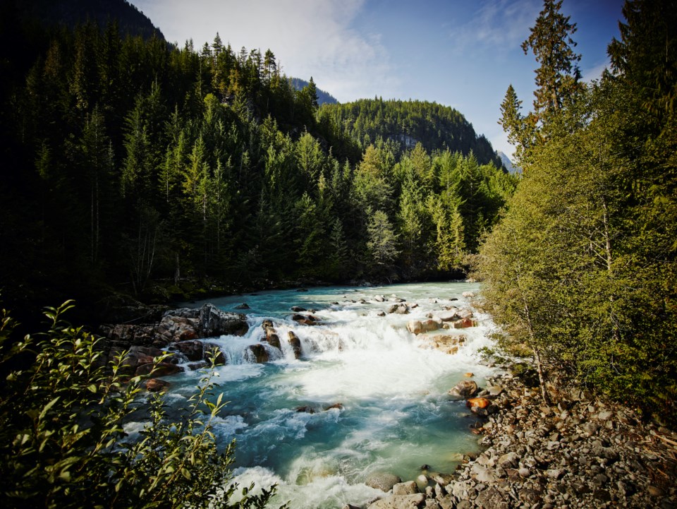 SARAshlu River, Squamish