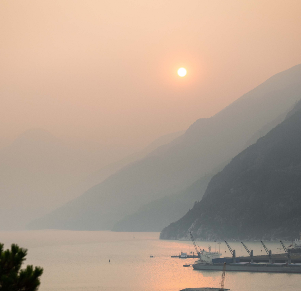 Smoky sBrian(1)